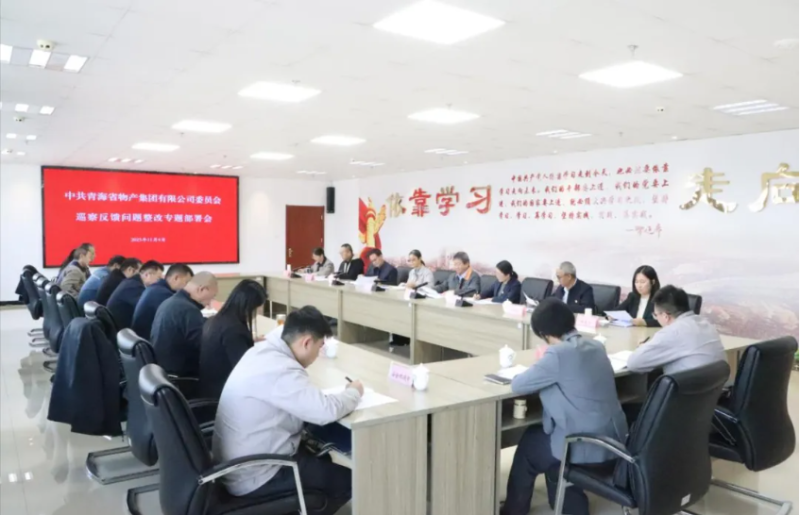 集團(tuán)黨委召開巡察反饋問(wèn)題整改專題部署會(huì)