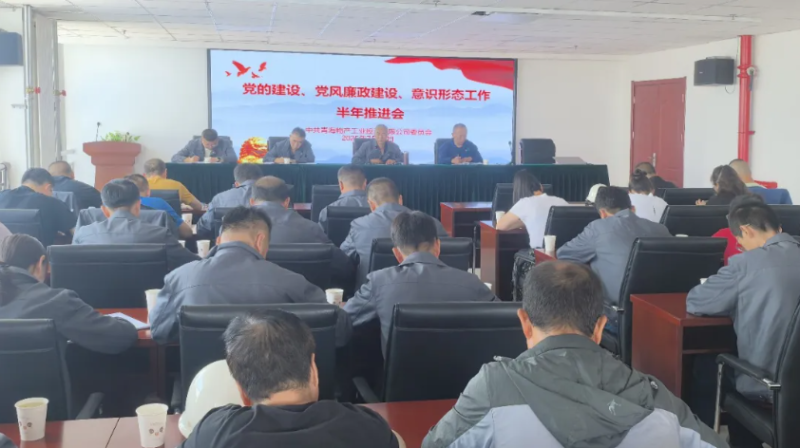工投公司黨委召開黨的建設(shè)、黨風(fēng)廉政建設(shè)、意識(shí)形態(tài)工作半年推進(jìn)會(huì)