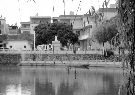 老鄉(xiāng)眼里的李河君：陌生富豪，夫人助其發(fā)財